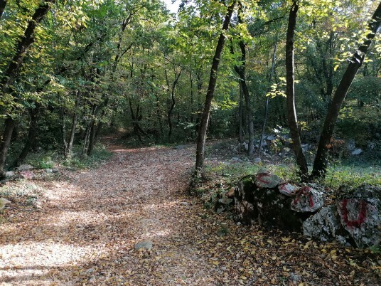 sentiero stradina in salita da Cadelapela