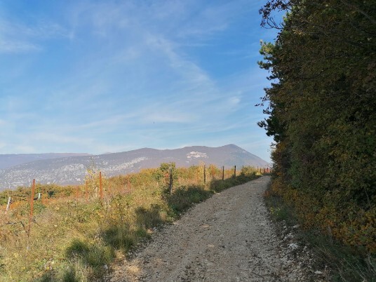 stradina sterrata in salita Monte Solane - Vecchia chiesa di Cavalo