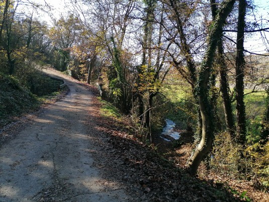 stradina sterrata in salita per Gnirega