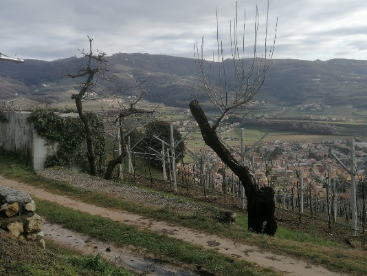 da Masua panorama su Valle di negrar Monte Comun