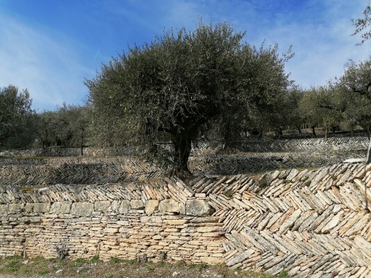 Mosaico dei muretti a secco