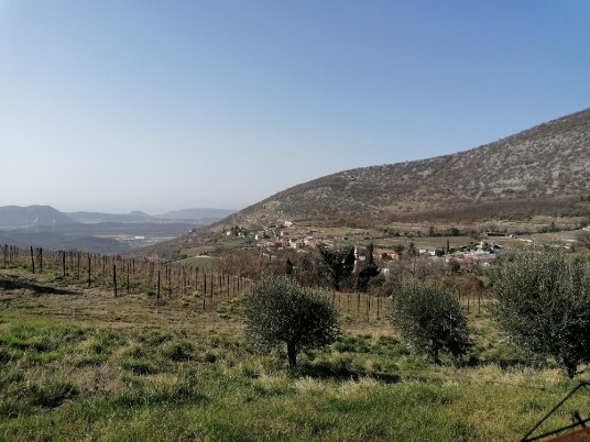 Panorama di Monte dall'alto 