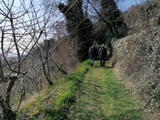 sentierino in salita direz Crosetta