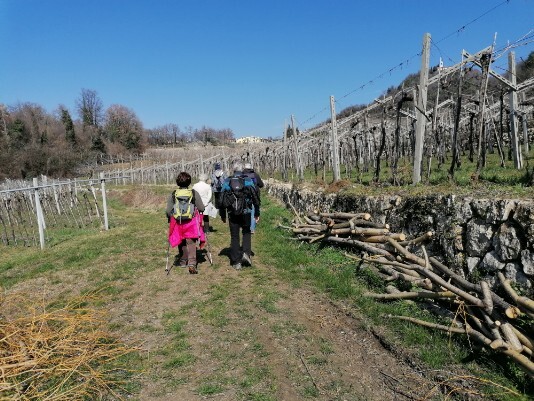 Verso Purano Vigneti