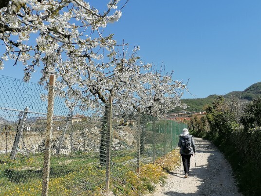 stradina sterrata per Villa da Arena Verde