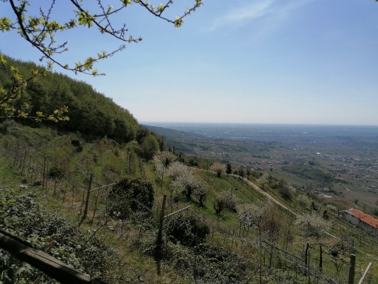 Panorami da Colombare di Villla