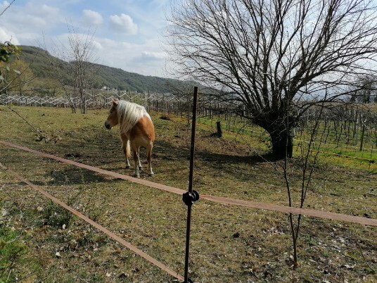 Saline piacevole incontro