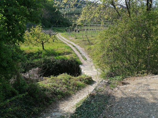 attraversamento progno dopo Via molino Costeggiola