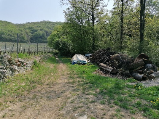 sentiero in direzione Campi di Sopra