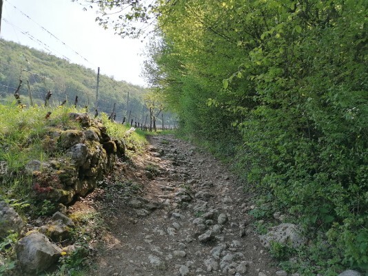 sentierino da Campi di sotto a Campi di sopra