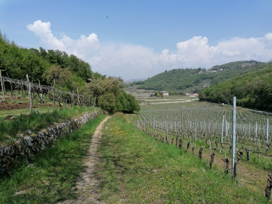 sentierino da Campi di Sopra