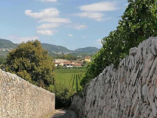 Via del Carrista o meglio conosciuta Strada dei Muri