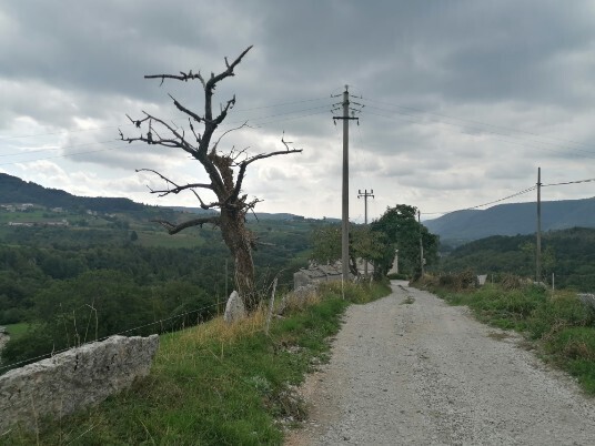 salita per Gravazzo stradina e poi sentiero