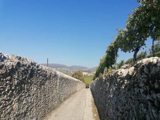 Strada dei Muri per san Peretto - Villa Rovereti