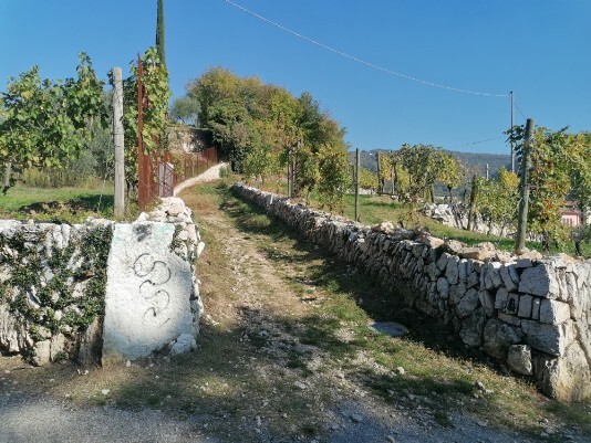 accanto a Villa Rovereti sentiero in salita per Via Rovereti