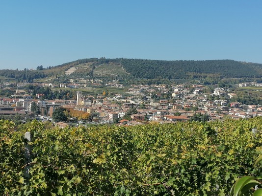 Panorama da Via Rovereti su Negrar