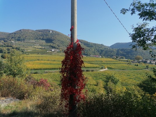 panorami da Castel verso Sengia Sbusa Montecchio