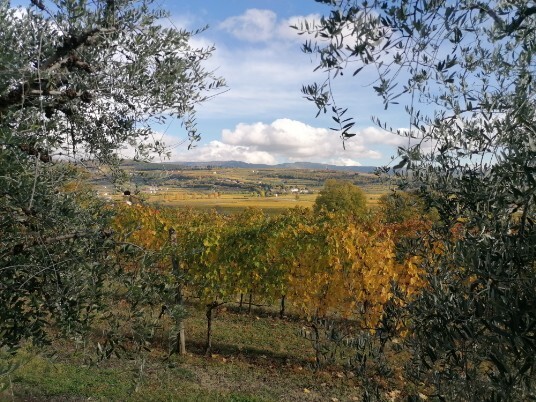 panorama su valle di Fumane da Via Bure Alto