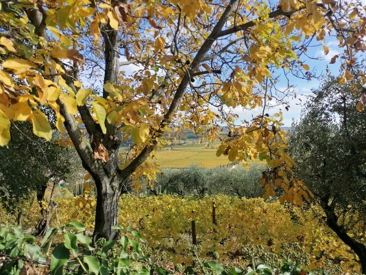 autunno colori Bure Marega