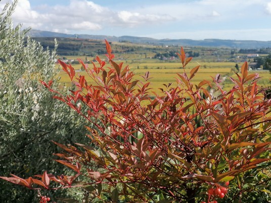  Colori  - Valle di Fumane