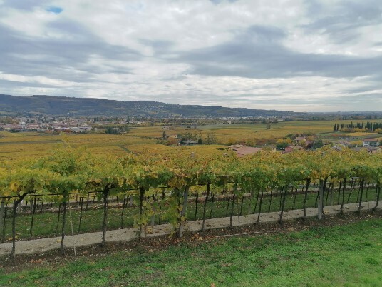 panorami salendo da cengia a castelrotto