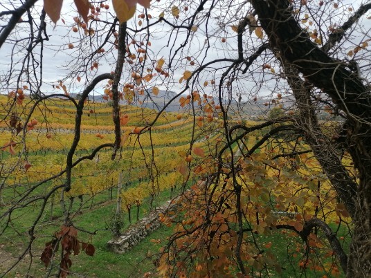 bellezza dei colori dell'autunno Cengia castelrotto