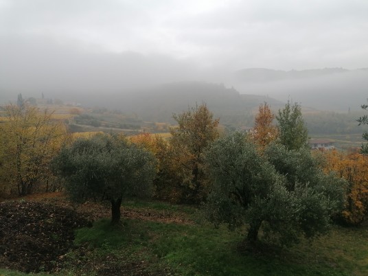 Nebbiolina autunnale e colori verso Castel