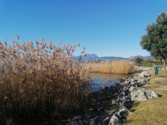 lungolago Cisano Bardolino