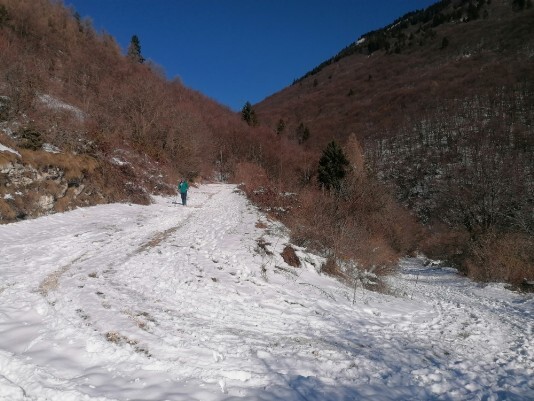 Neve sentiero Tommasi - Grola