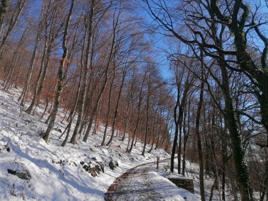 Neve sentiero Tommasi Grola