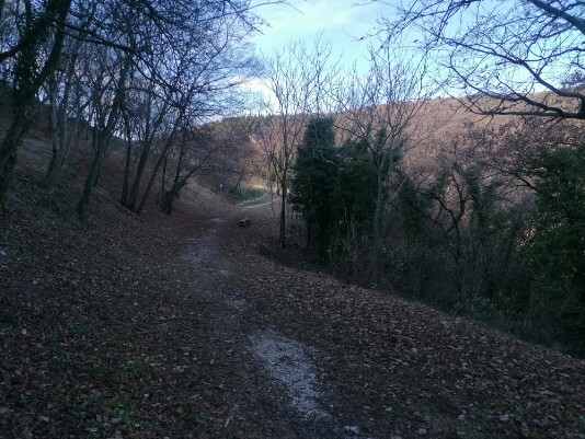 stradine sterrate  Parco Valpolicella