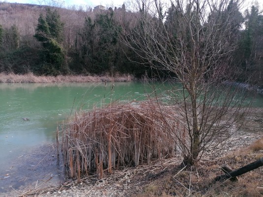 secondo Laghetto il piu bello Parco Valpolicella