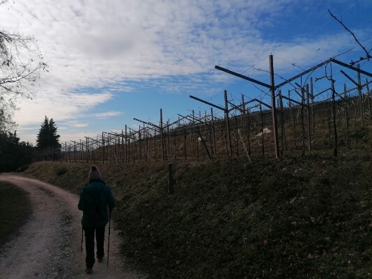 stradine sterrate all'interno del Parco Valpolicella