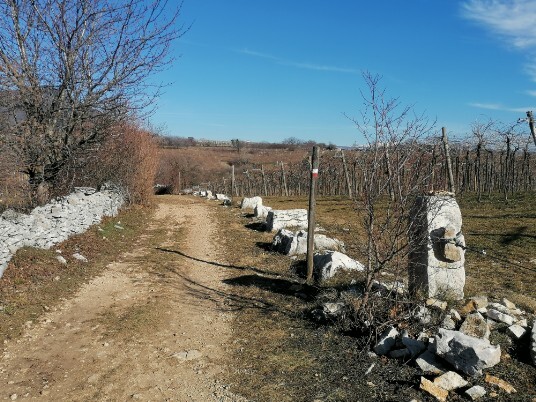 panorami dalla dorsale Monte Solane 