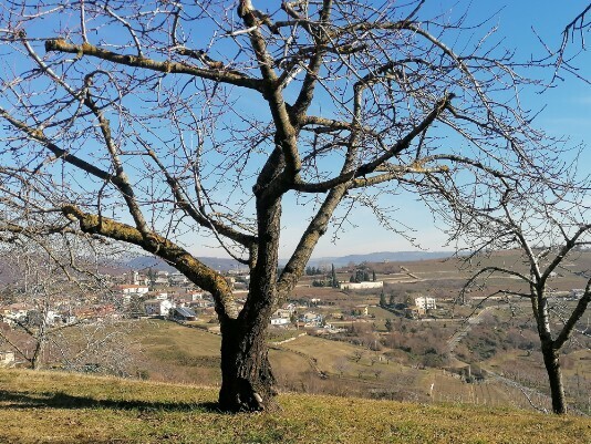 da strada panorama  di Cavalo