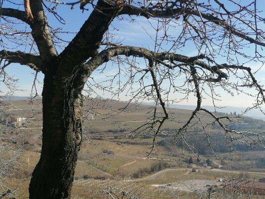 da strada panorama  di Cavalo sud valle Accordini Vini