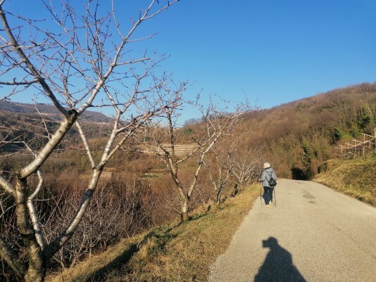 Strada per Marano