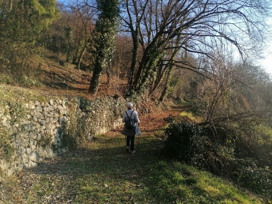 un piacevole sentiero Muretti e alberi