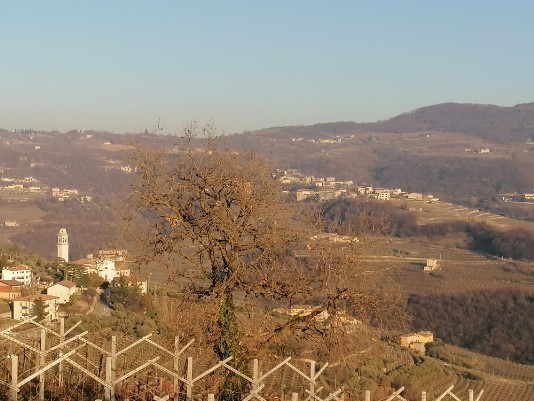 Panorami Valle di Negrar a sx sotto Torbe campanile