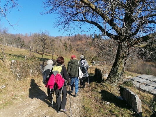 Lasciamo Pozze per direzione Sant'Anna Alfaedo