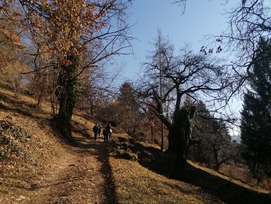 Tratto in salita da Pozze verso Sant'Anna bellissimo