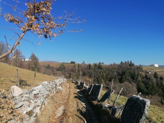 Pontarola sentiero lastre pietra