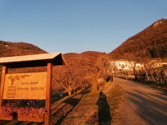 Preperchiusa Corte Ugolini Azienda agricola