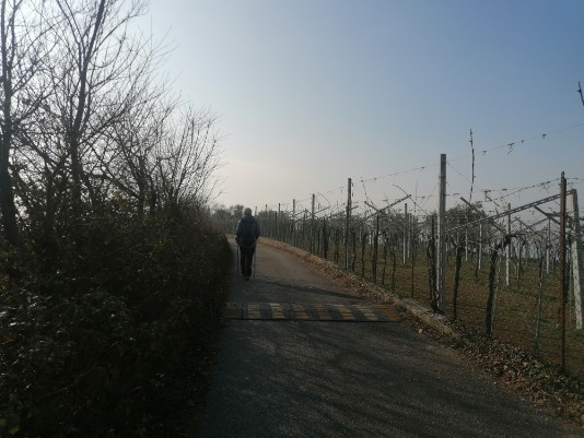 Via Masua in direzione Pedemonte