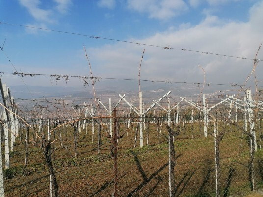 Via Masua in direzione Pedemonte