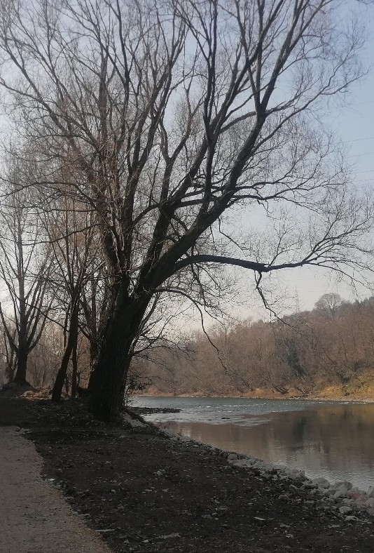 Volargne Ponton tratto in costruzione ciclopedonale adige