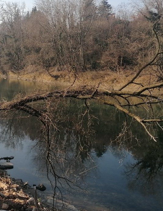 Volargne Ponton tratto in costruzione ciclopedonale adige