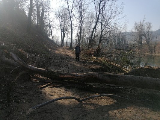 Volargne Ponton tratto in costruzione ciclopedonale adige