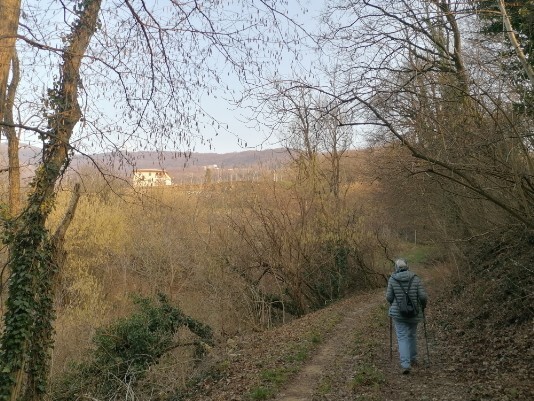 Stradina a sinistra Muri a secco Ulivi e vigneti