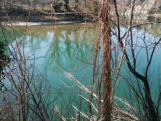 Suggestioni e riflessi Adige 